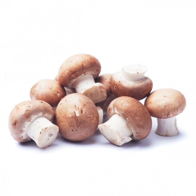 Steinchampignons