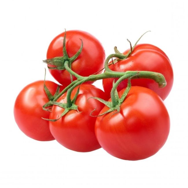 Strauchtomaten