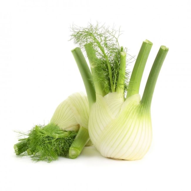 Fenchel