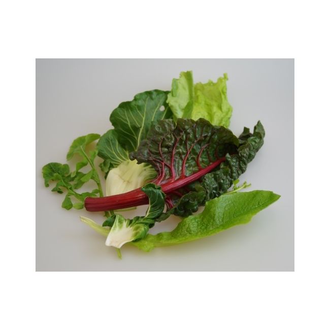 Baby-Leaf Mix Salat, 200 g gepackt
