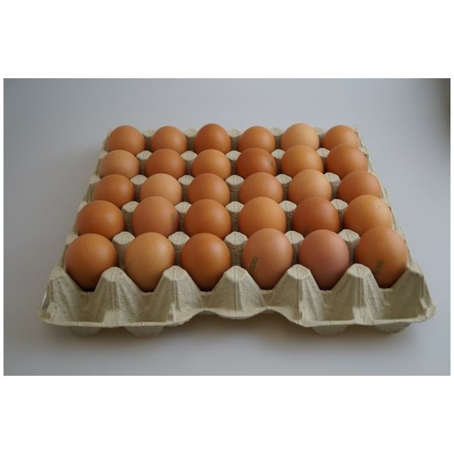 Eier - 30er Pack Gr. L - Güteklasse A - DE052471